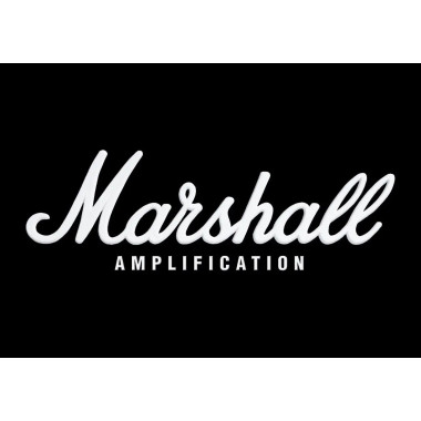 MG30GFX Amplificador Para Guitarra 30W Gold MARSHALL