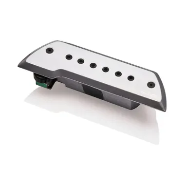654330500756 Pastilla cromo guitarra y bajo EMGACS