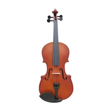 AMVL002 Violín 4/4 para Estudiante Laminado Mate marca AMADEUS CELLINI