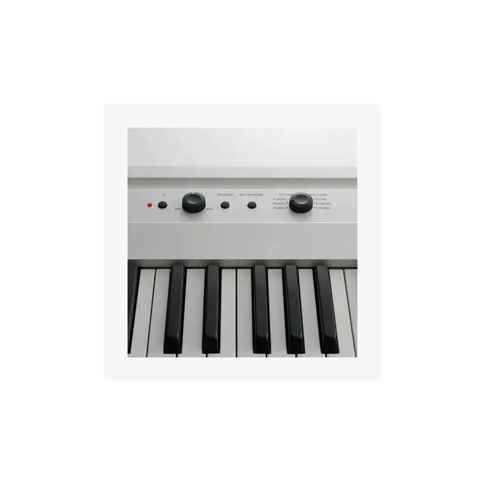 Piano Key-88 Digital korg Pianos-Home gris