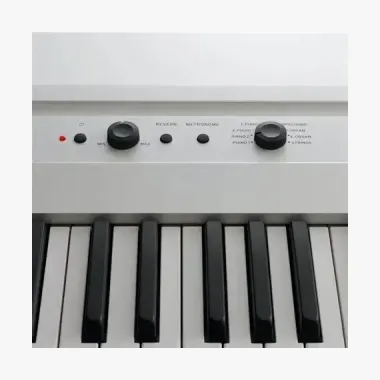 Piano Key-88 Digital korg Pianos-Home gris