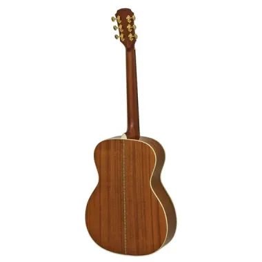 Guitarra Acústica Premium ARIA-501.