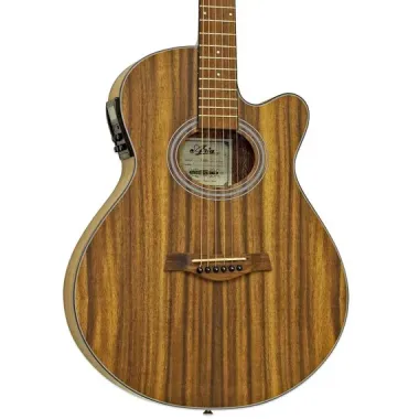 Guitarra Electroacústica Aria FET-T1N.