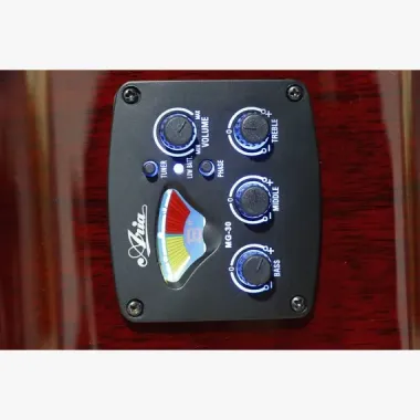 Guitarra Electroacústica Aria 12 cuerdas FET-R1/12 N