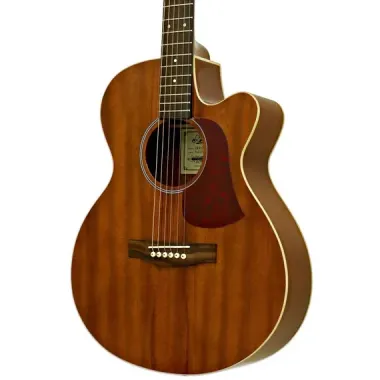 Guitarra ElectroClassica Aria Pastilla Pasiva