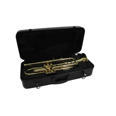Trompeta En Bb Laqueada 2 Postes Marca Symphonic.