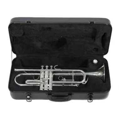 Trompeta Symphonic Plateada En Bb Doble Llave TR-300S