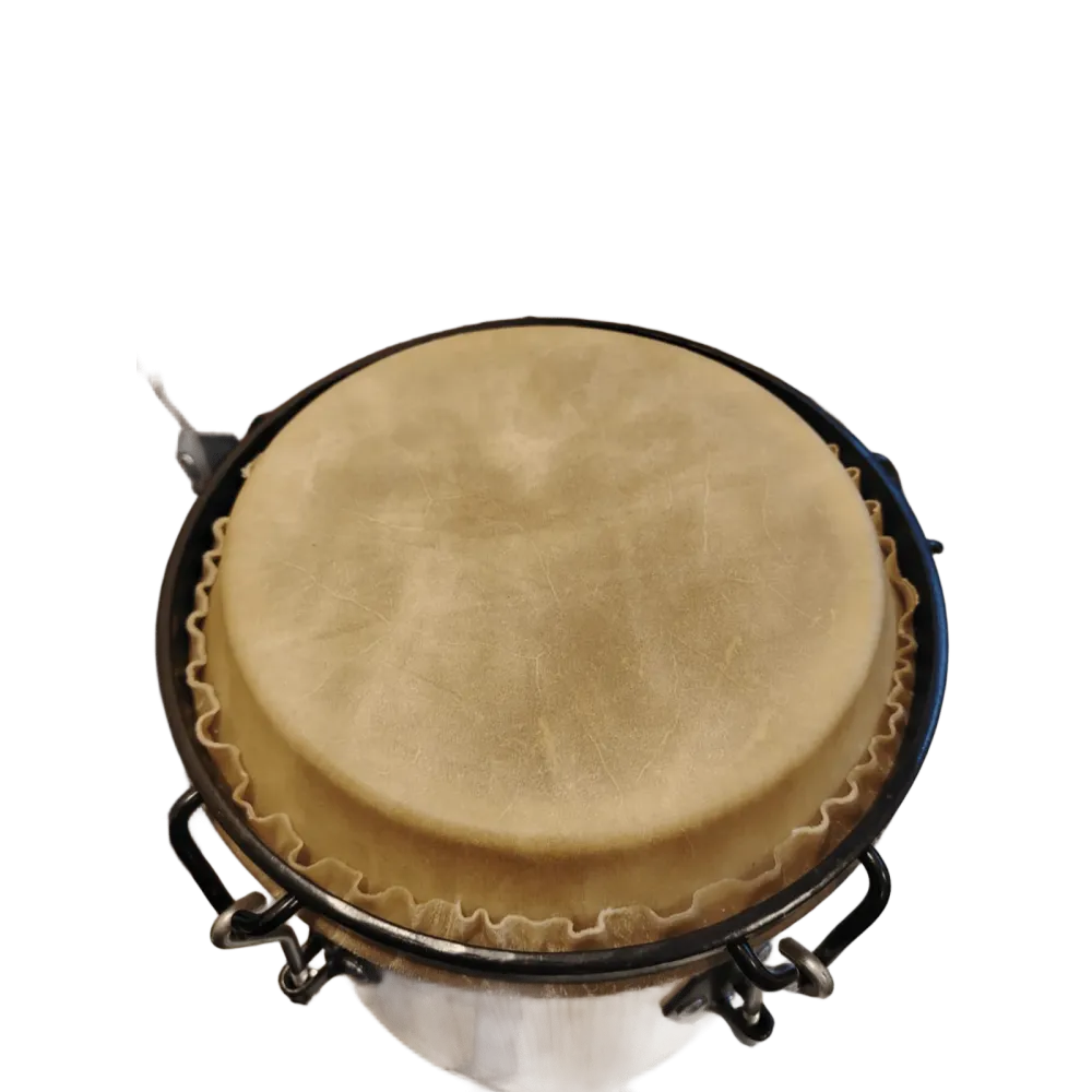 PERCG Conga  12" & 13" c/atril: vino, natural entintada NACIONAL