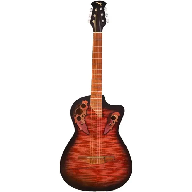 GATCC Guitarra acústica Richard Sam VZ