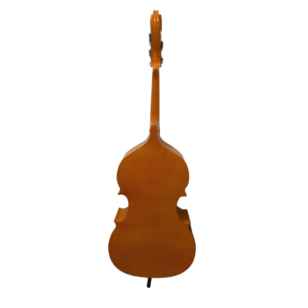 TO02 Tololoche fino CG