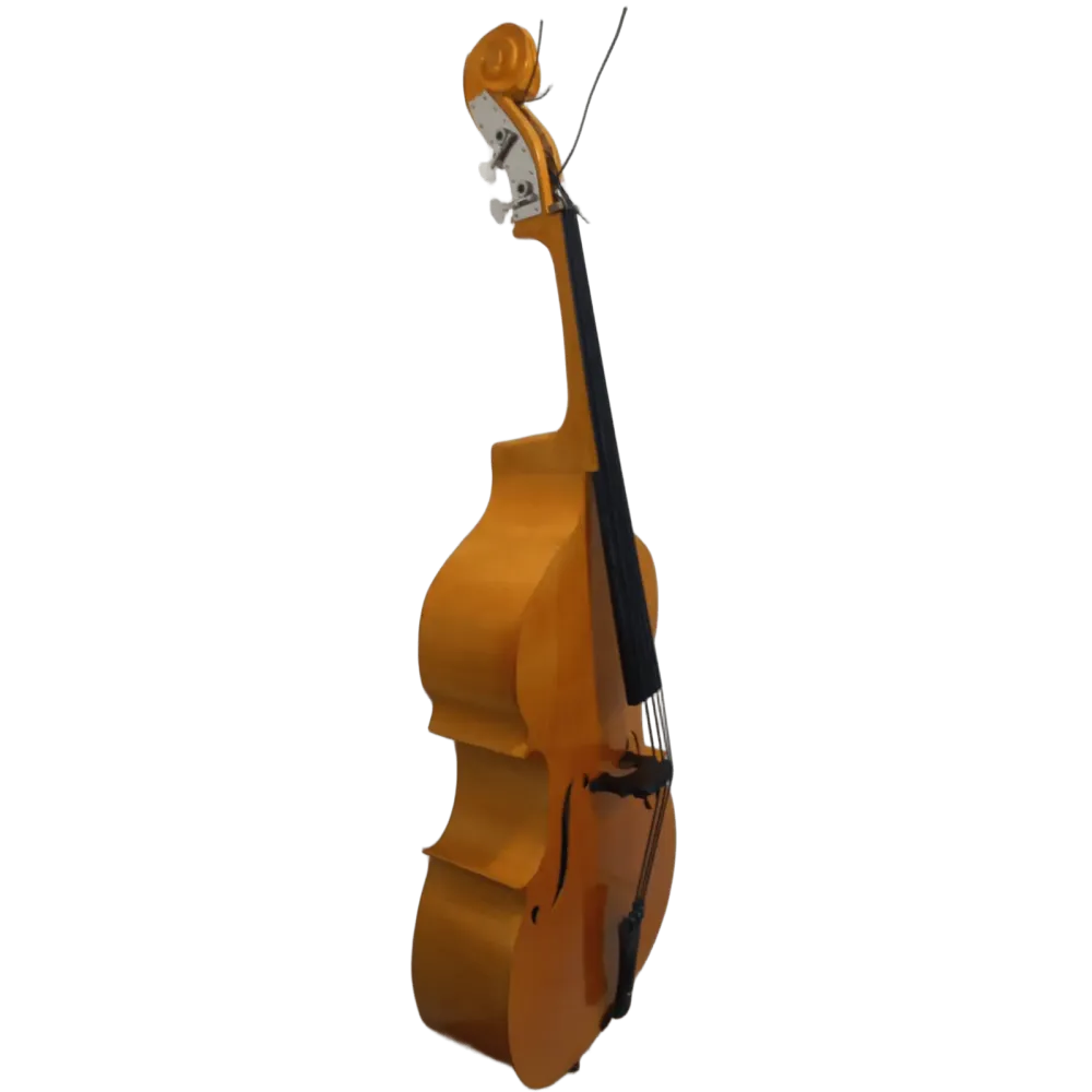 TO02 Tololoche fino CG