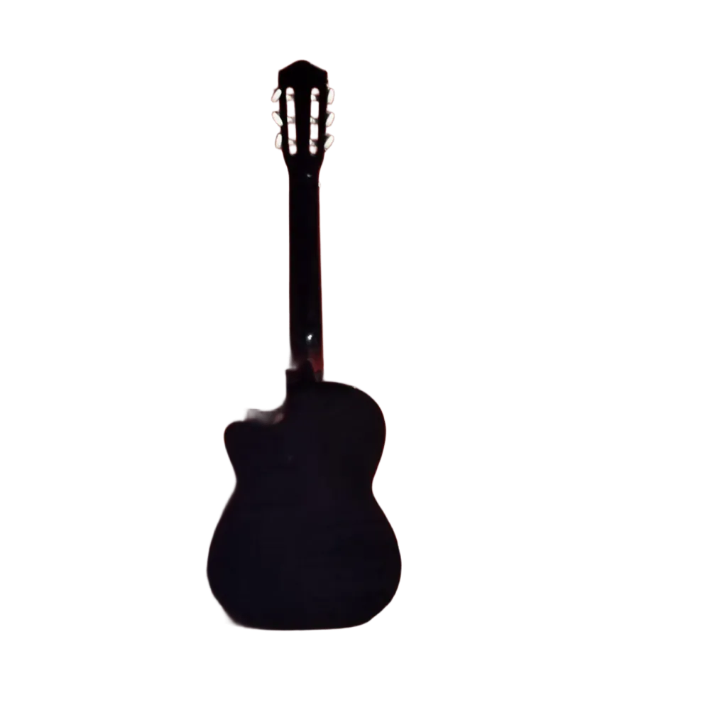 PQ2 Paquete guitarra clásica VEGO