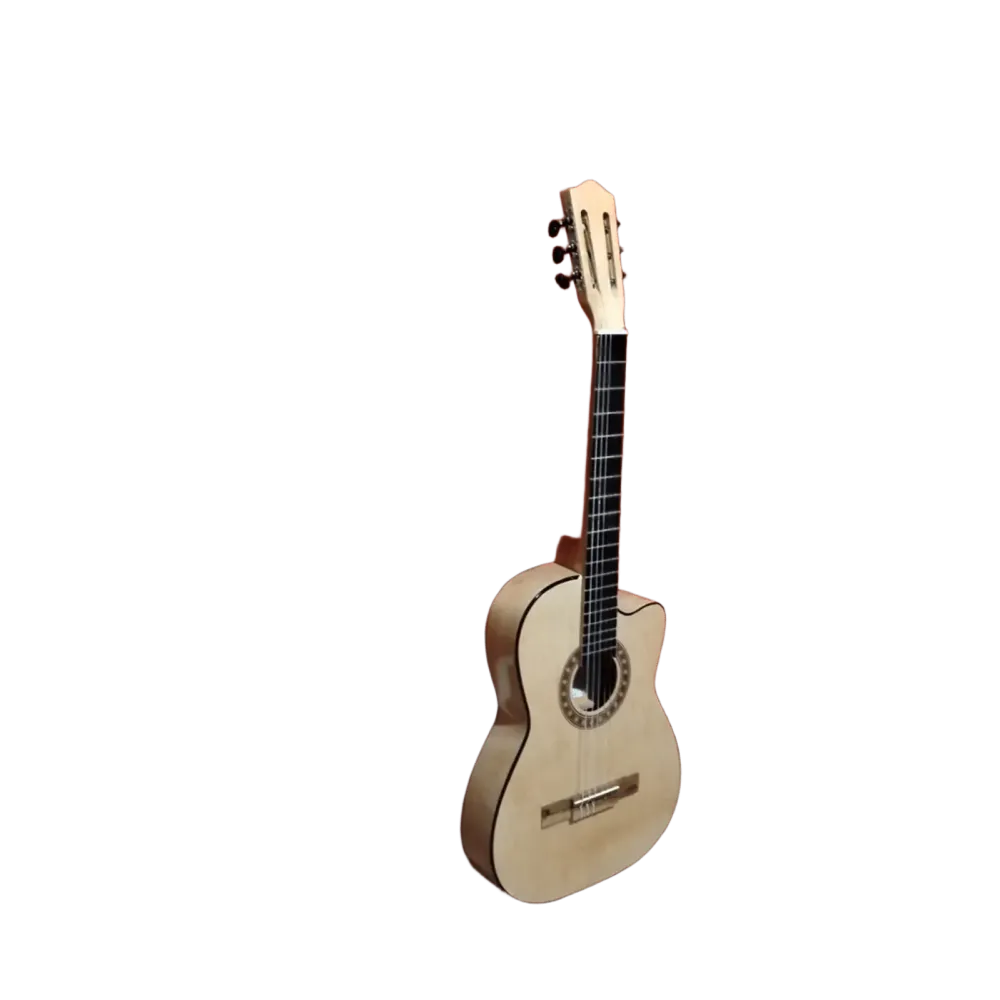 PQ4 Paquete guitarra clásica VEGO