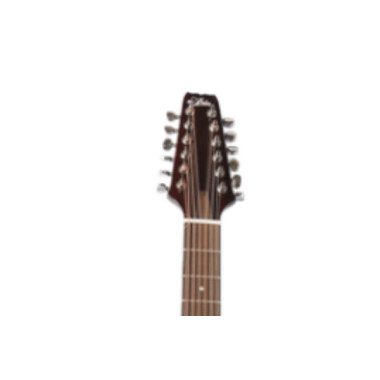 Aria FET-R1/12 N Guitarra Docerola Electroacústica 12 Cuerdas