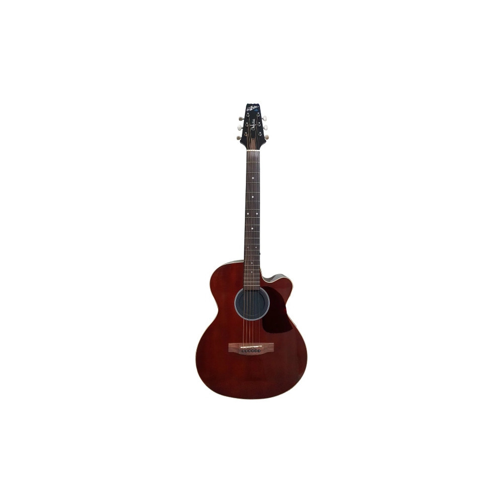 Aria VB-110CE MH Guitarra Electroacústica Christian Vib Mahogany.
