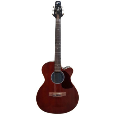 Aria VB-110CE MH Guitarra Electroacústica Christian Vib Mahogany.
