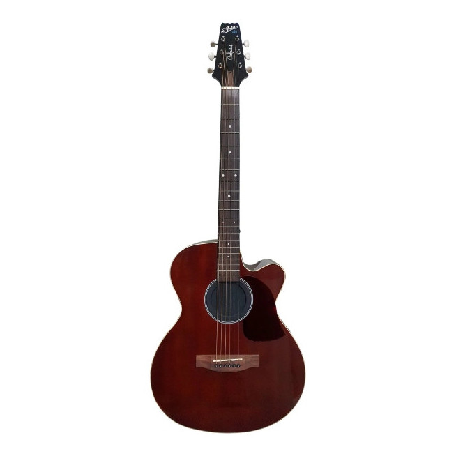 Aria VB-110CE MH Guitarra Electroacústica Christian Vib Mahogany.