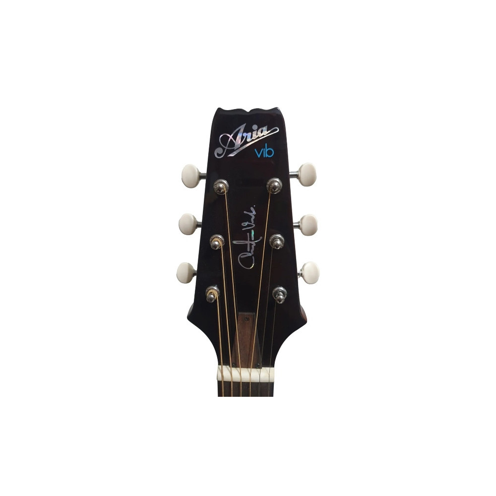 Aria VB-110CE MH Guitarra Electroacústica Christian Vib Mahogany.