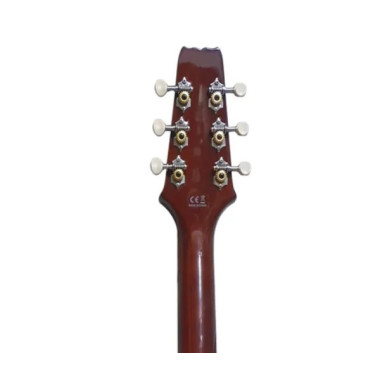 Aria VB-110CE MH Guitarra Electroacústica Christian Vib Mahogany.