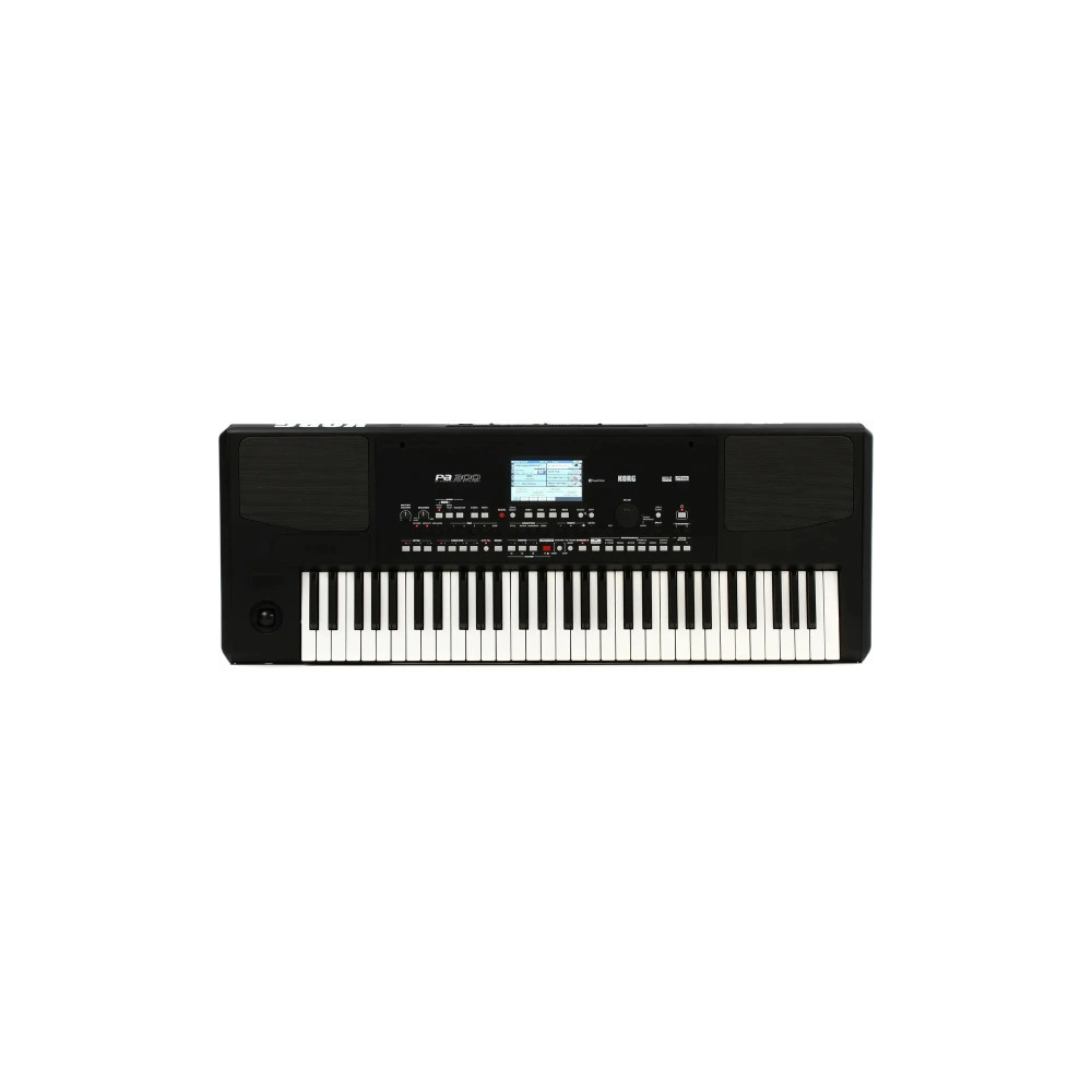 KORG PA300 Teclado Profesional 61 Teclas USB-MIDI