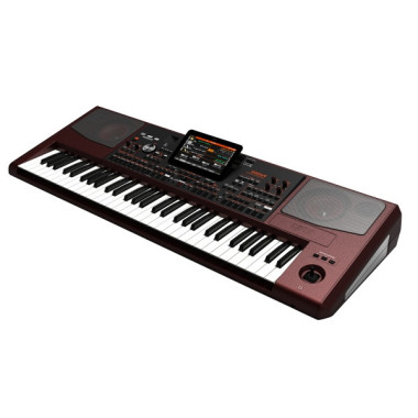 KORG PA1000 Teclado Profesional 61 Teclas MIDI