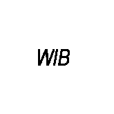 WIB